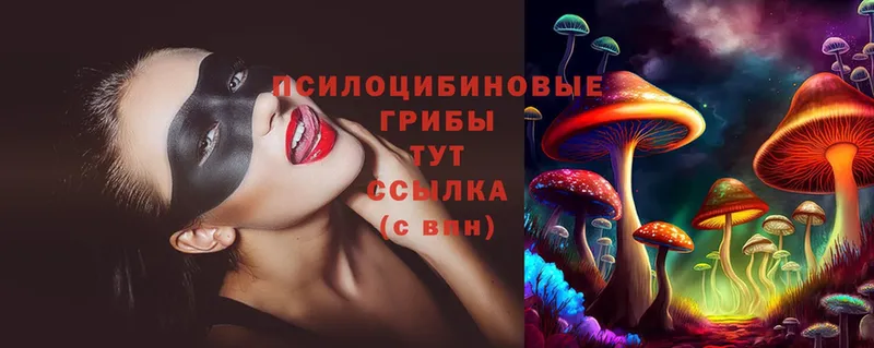 Галлюциногенные грибы Magic Shrooms  купить закладку  Абинск 